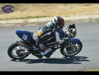 DSC_5381.jpg