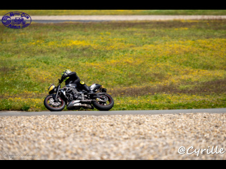 DSC06043.jpg