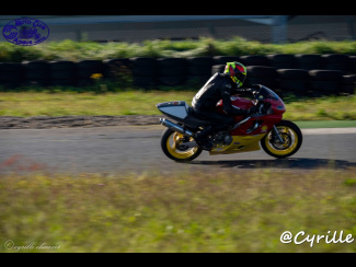 DSC04201.jpg