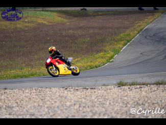 DSC06863.jpg