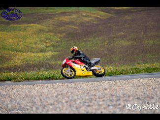 DSC06900.jpg