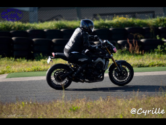 DSC03575.jpg