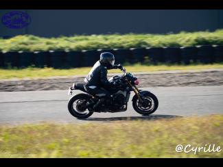 DSC03930.jpg