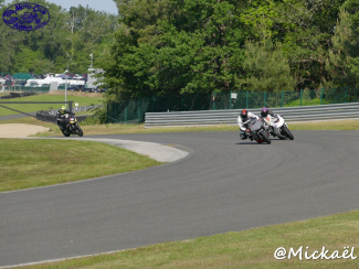 P2990360.jpg