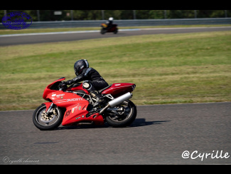 DSC00811.jpg