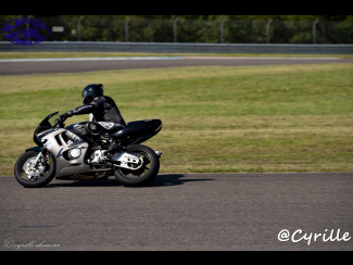 DSC00816.jpg