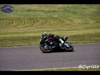 DSC00817.jpg