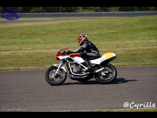 DSC00835.jpg