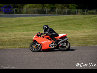 DSC00848.jpg