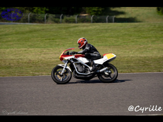 DSC00873.jpg