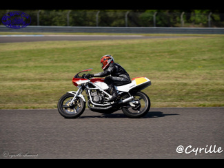 DSC00875.jpg