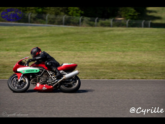 DSC00884.jpg