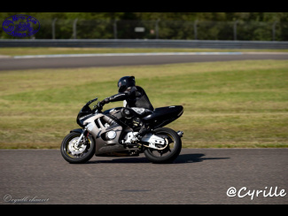DSC00918.jpg