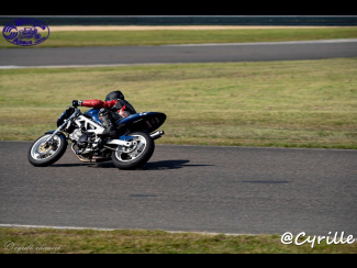 DSC00941.jpg