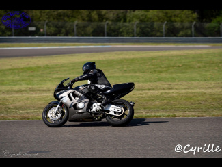 DSC00975.jpg