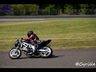 DSC00981.jpg