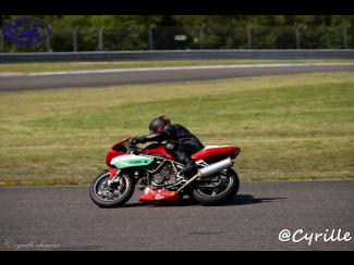 DSC00987.jpg