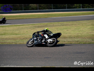 DSC00995.jpg