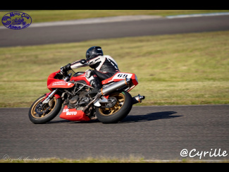DSC09894.jpg