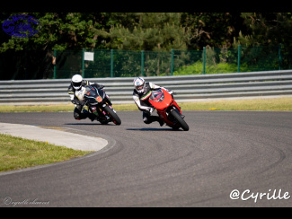 DSC09989.jpg