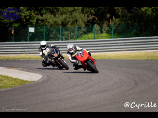 DSC09990.jpg