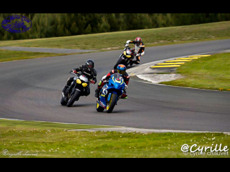 DSC01008-2.jpg