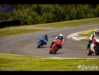 DSC01054-2.jpg