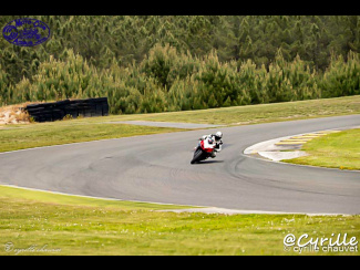 DSC01102-2.jpg
