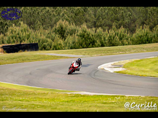 DSC01162-2.jpg