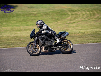 DSC00201.jpg