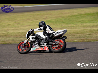 DSC00254.jpg