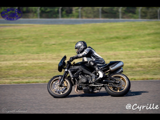 DSC00379.jpg