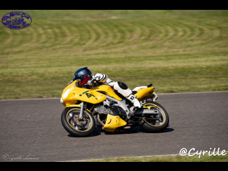DSC00429.jpg