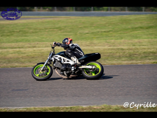DSC00495.jpg