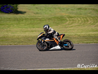 DSC00512.jpg