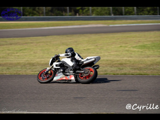 DSC00517.jpg