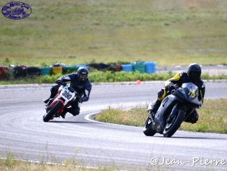 DSC_7385.jpg