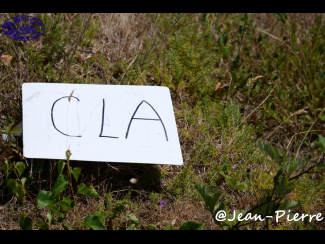 DSC_0656.jpg