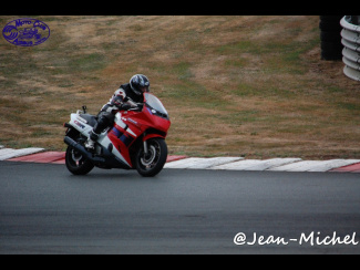 DSC_0229.jpg