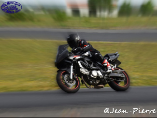 DSC_6555.jpg