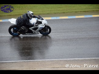 DSC_8131.jpg