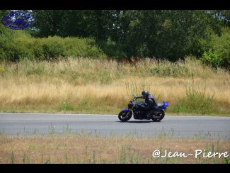 DSC_9559.jpg