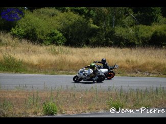 DSC_9520.jpg