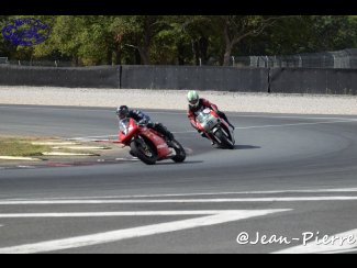 DSC_0339.jpg