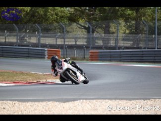 DSC_0817.jpg